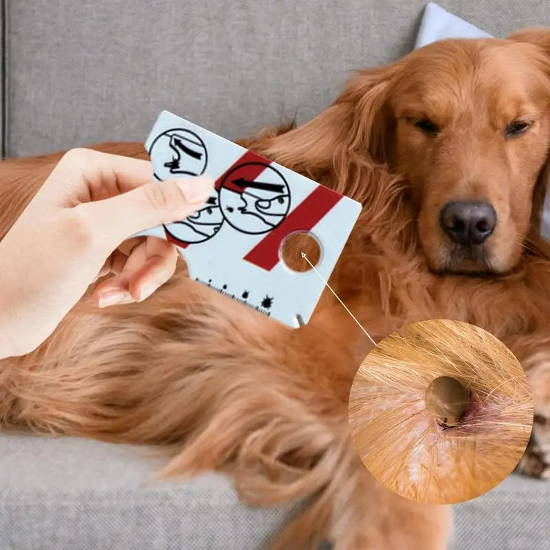 TickIdentifier Card